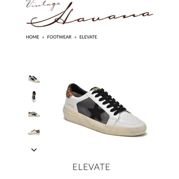 vintage havana elevate leopard star sneakers